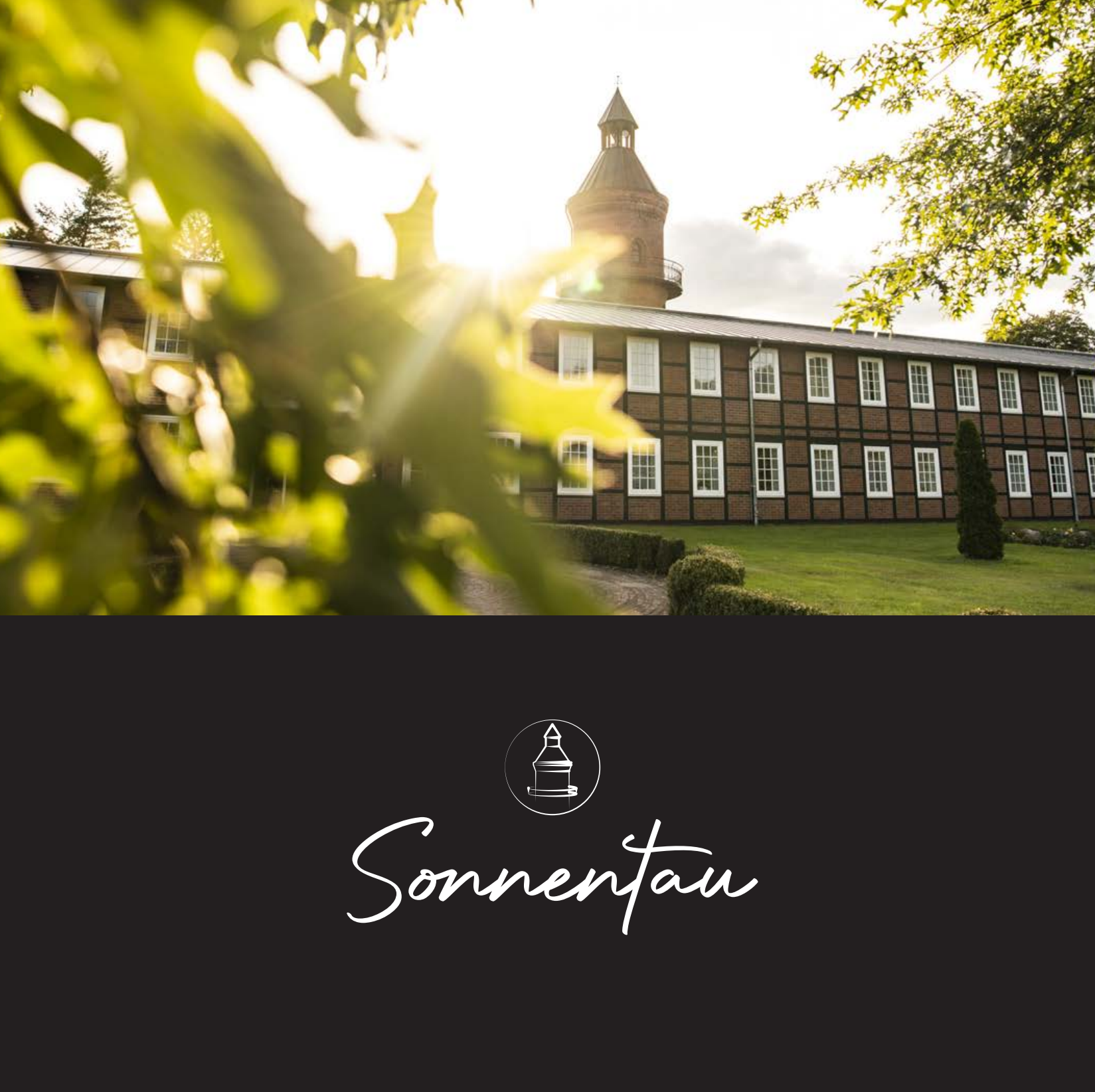 Bienenbuch für Kinder